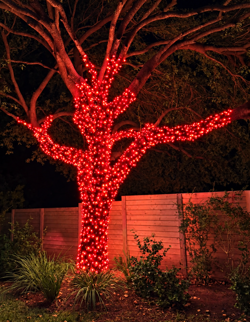 (24 pack) Red LED Mini Christmas Lights – 70 Count, 4" Spacing, Commercial Grade