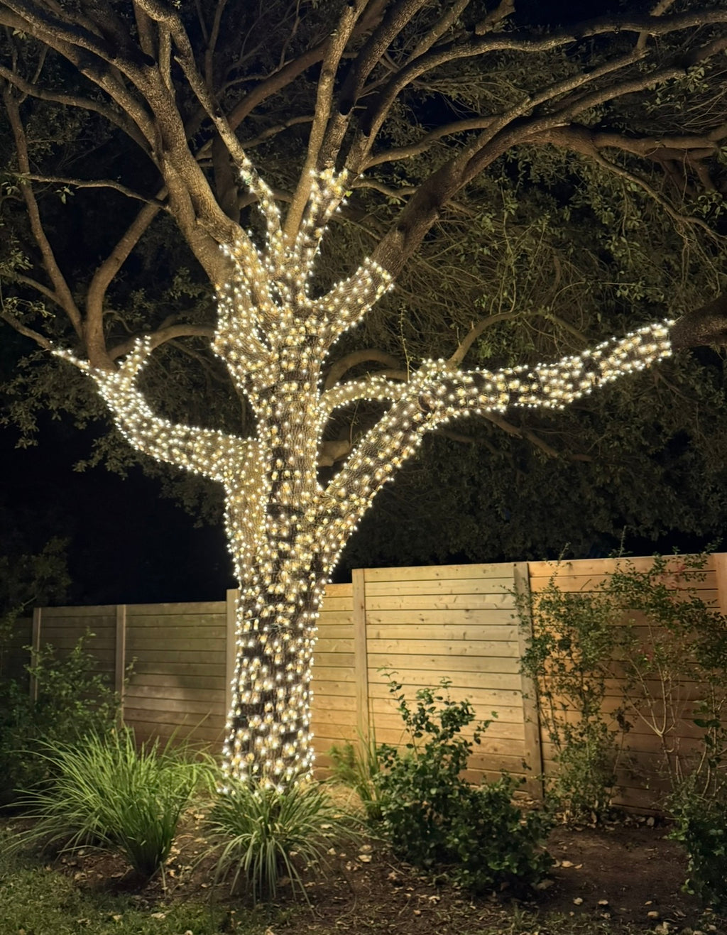 Warm White LED Mini Christmas Lights – 70 Count, 4" Spacing, Commercial Grade