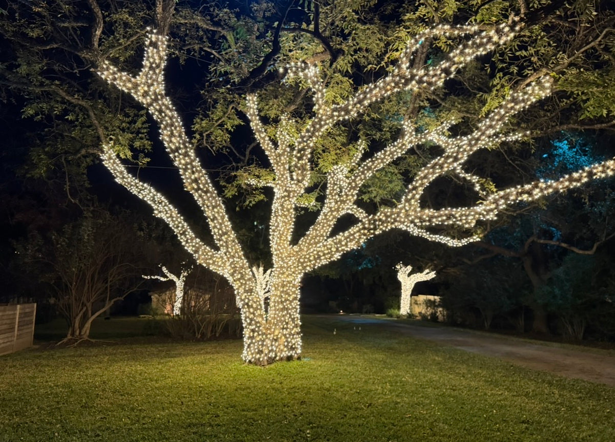 Warm White LED Mini Christmas Lights – 70 Count, 4" Spacing, Commercial Grade